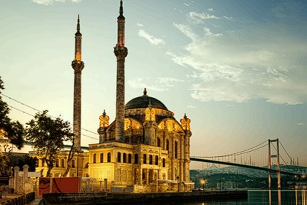 Turquía en thanksgiving - Noviembre 2026